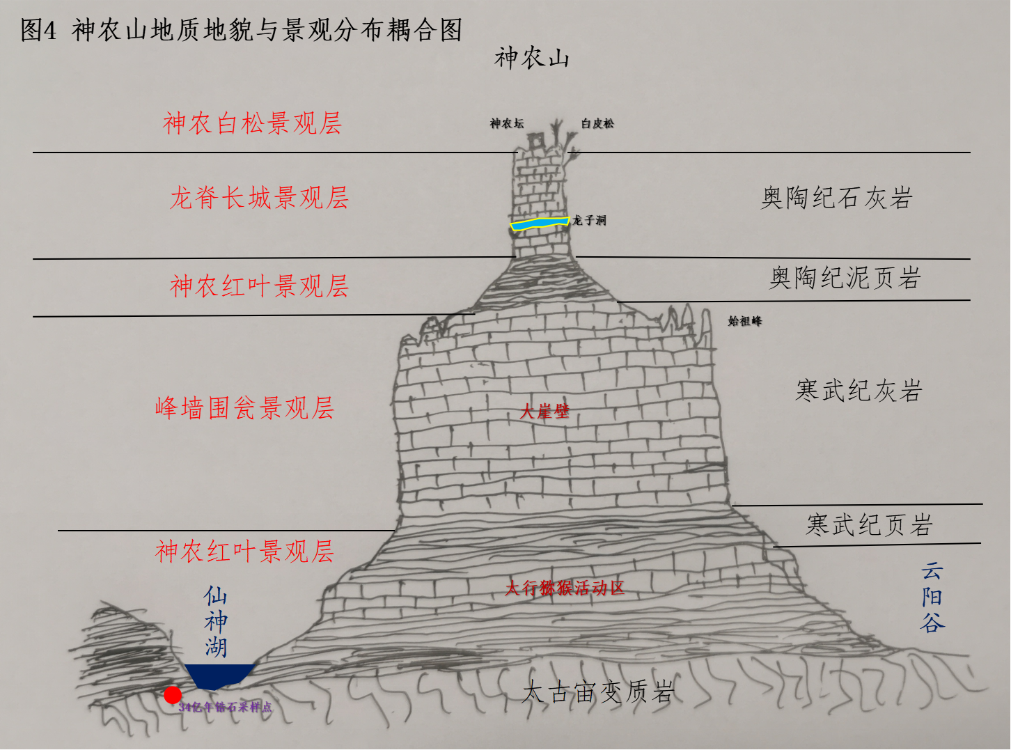 图片4.png 图片4.png