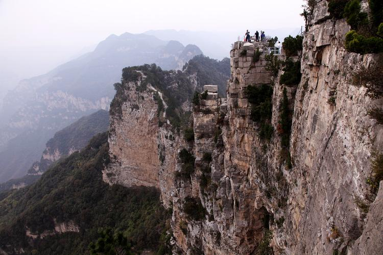 图片12.png 图片12.png