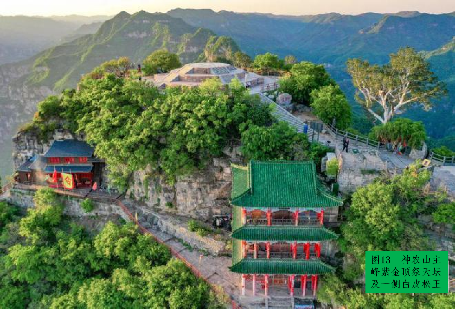 图片14.png 图片14.png