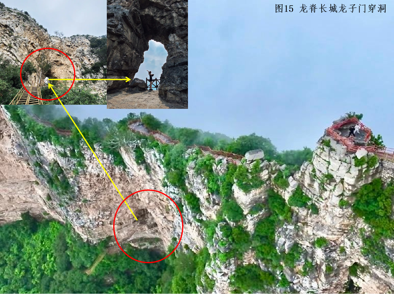 图片16.png 图片16.png