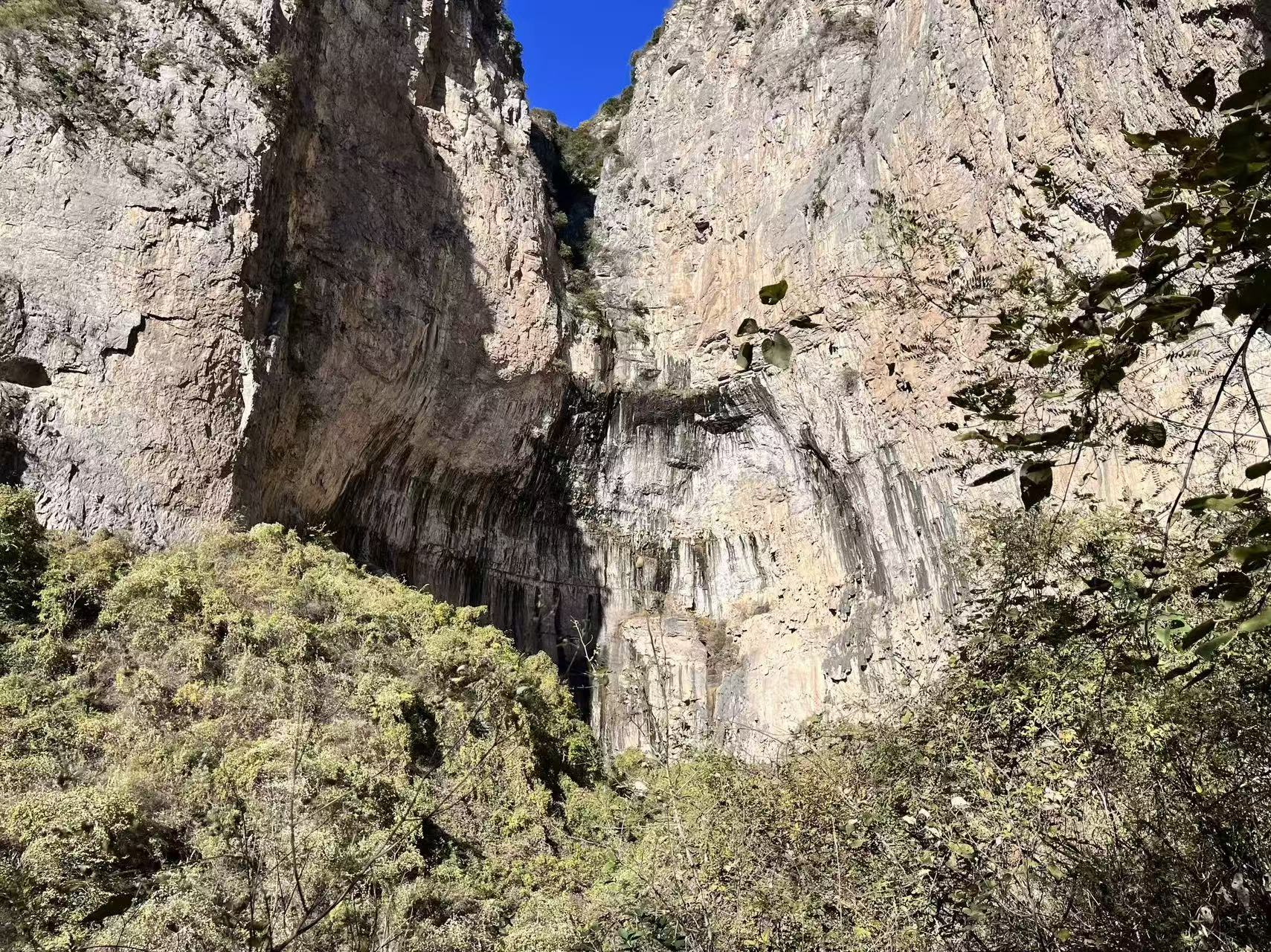 图片19.png 图片19.png