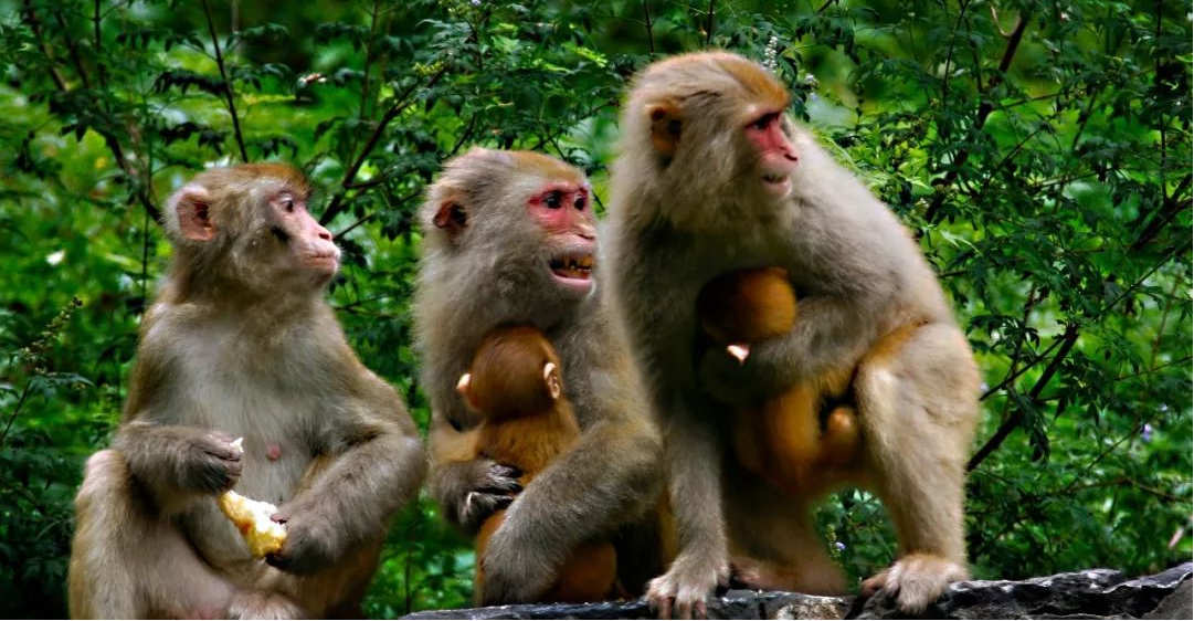 图片21.png 图片21.png