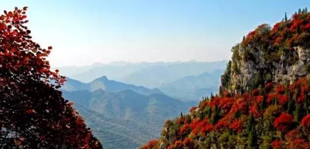 图片22.png 图片22.png