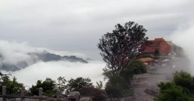 图片23.png 图片23.png