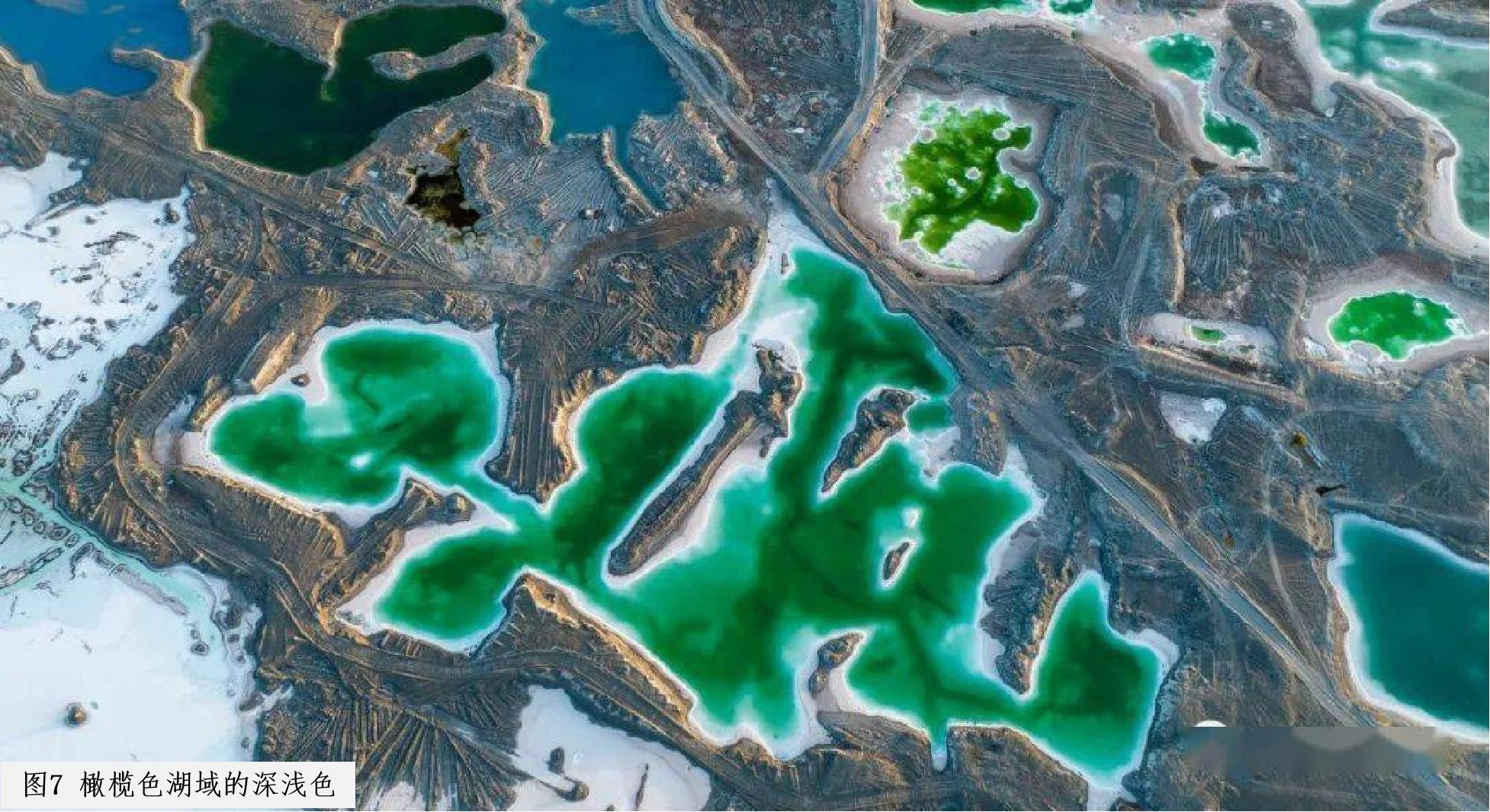 图片7.png 图片7.png