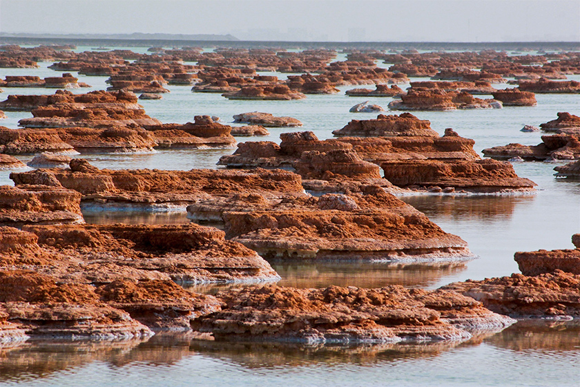 图片11.png 图片11.png