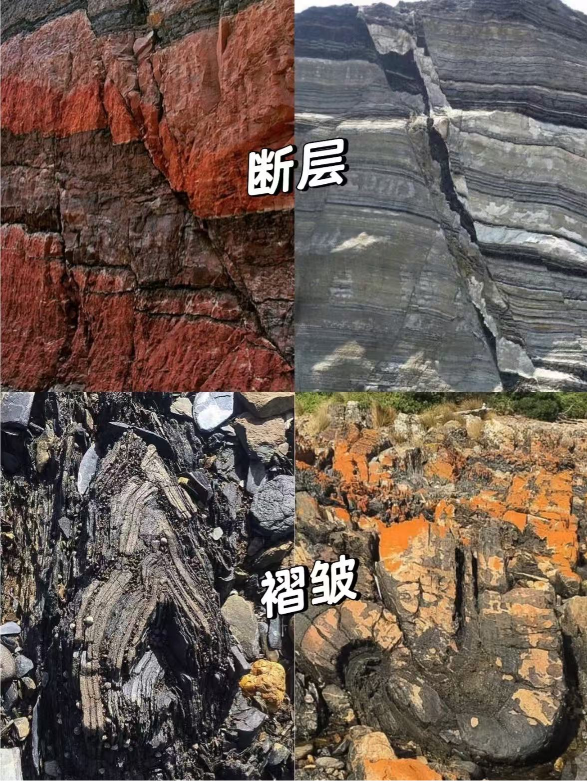 图片22.png 图片22.png