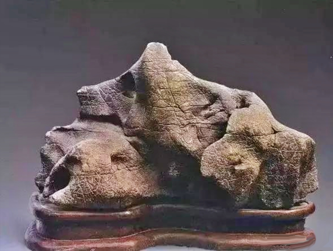 图片6.png 图片6.png