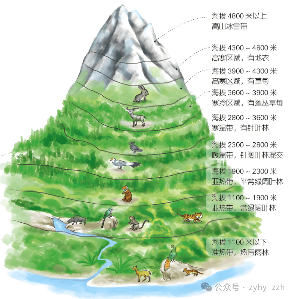 图5.png