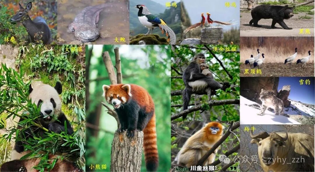 图15.jpg