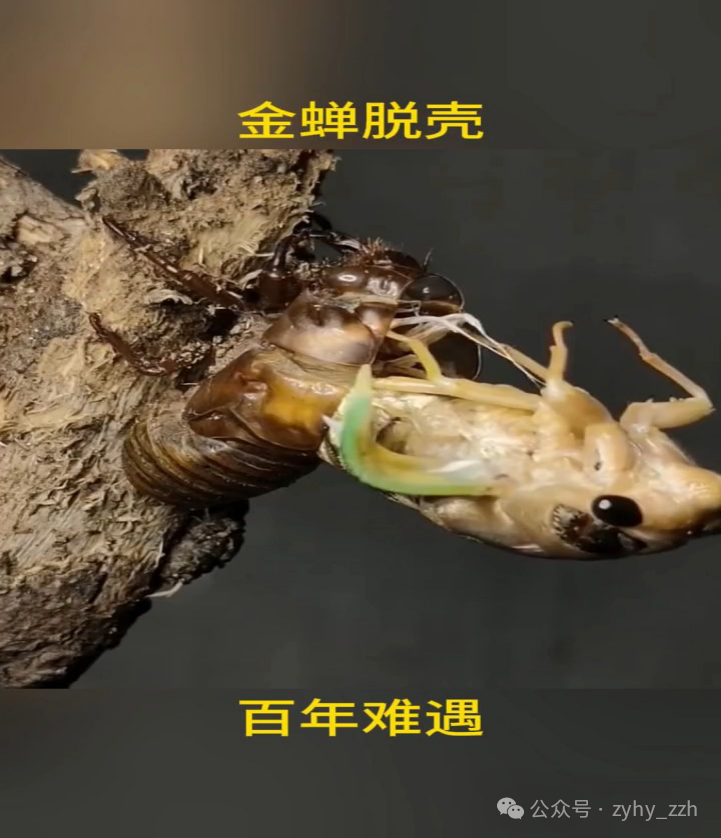2.png 2.png
